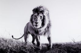 ANUP SHAH (MODERN) ARTIST SIGNED LIMITED EDITION BLACK AND WHITE PHOTOGRAPHIC PRINT ‘Hunter’ (34/