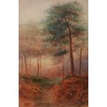 ERNEST POTTER (NINETEENTH/ TWENTIETH CENTURY) PAIR OF WATERCOLOUR DRAWINGS Paths through woodland,