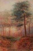 ERNEST POTTER (NINETEENTH/ TWENTIETH CENTURY) PAIR OF WATERCOLOUR DRAWINGS Paths through woodland,