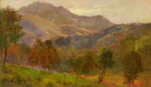 ALFRED WILLIAM STRUTT (1856-1924) OIL ON BOARD Highland landscape with trees in the foreground