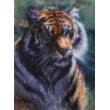 ROLF HARRIS (b.1930) ARTIST SIGNED LIMITED EDITION COLOUR PRINT ON PAPER ‘Tiger in the Sun’ (69/195)