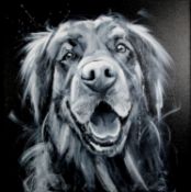 JENNIFER HOGWOOD (MODERN) OIL ON CANVAS ‘Mono Gold Retriever’ Initialled, titled to stretcher