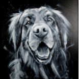 JENNIFER HOGWOOD (MODERN) OIL ON CANVAS ‘Mono Gold Retriever’ Initialled, titled to stretcher