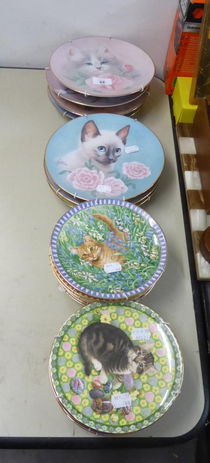 A SET OF TWELVE AYNSLEY CHINA COLLECTOR’S PLATES DECORATED WITH A NAMED CAT FOR EACH MONTH OF THE