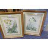 MARJORIE BLAMEY  ARTIST SIGNED PROOF COPIES OF FOUR COLOUR PRINTS BIRDS AND FLOWERS (4)