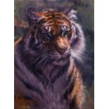 ROLF HARRIS (b.1930) ARTIST SIGNED LIMITED EDITION COLOUR PRINT ON CANVAS ‘Tiger in the Sun’ (93/