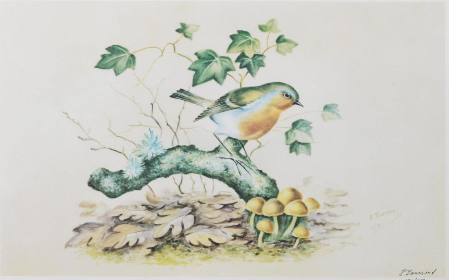 E. TOWNSEND (ROYAL WORCESTER ARTIST) SET OF NINE ARTIST SIGNED LIMITED EDITION COLOUR PRINTS OF - Image 6 of 6