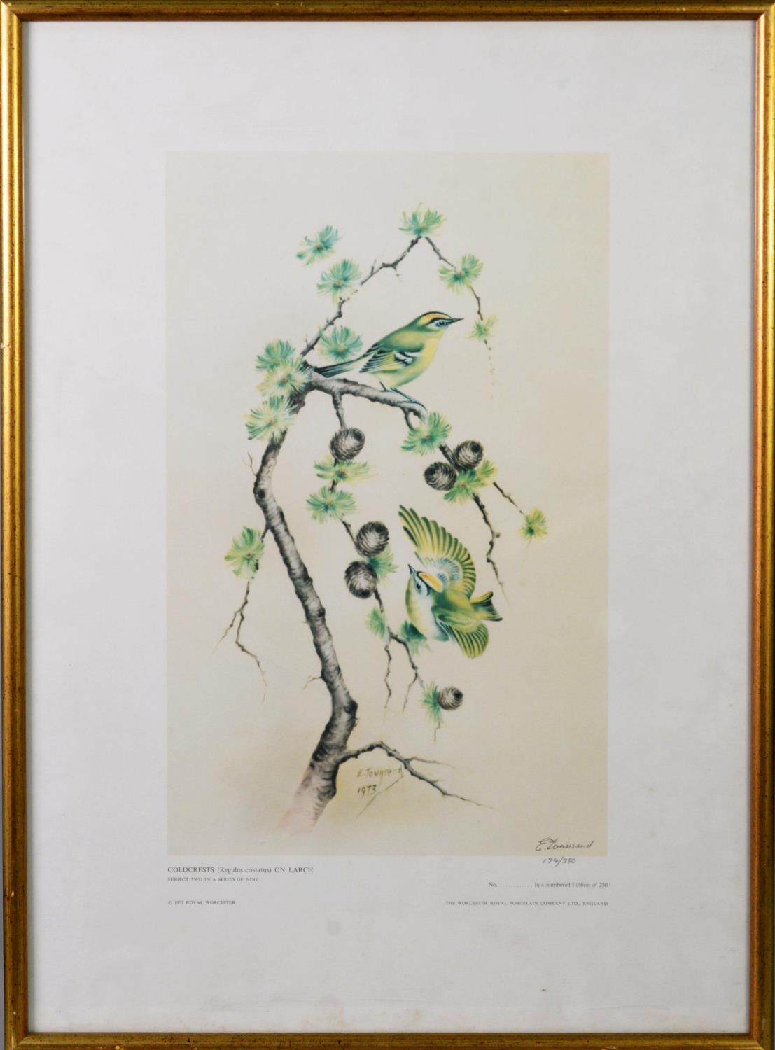 E. TOWNSEND (ROYAL WORCESTER ARTIST) SET OF NINE ARTIST SIGNED LIMITED EDITION COLOUR PRINTS OF - Image 2 of 6