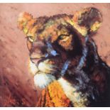 ROLF HARRIS ARTIST SIGNED LIMITED EDITION COLOUR PRINT Lioness (170/195) no certificate 12” x 13” (