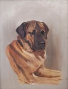 L C POTTER (EARLY TWENTIETH CENTURY) OIL ON CANVAS Labrador Signed and dated 1909 17 ¾” x 13 ½” (