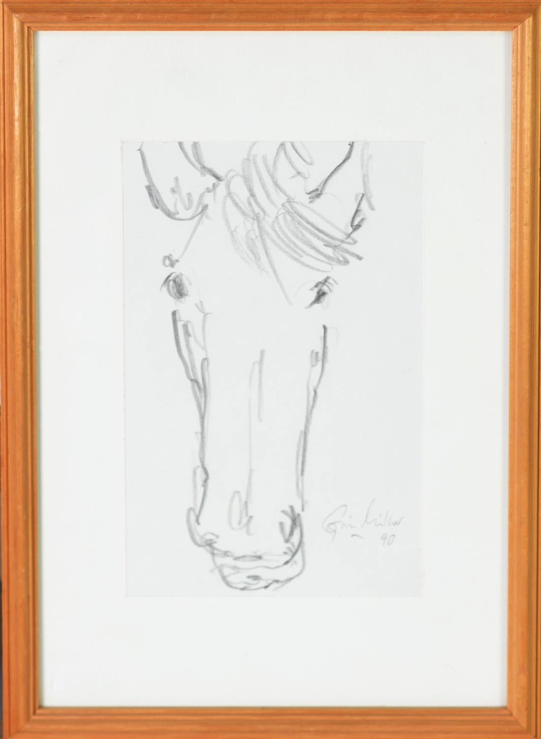 UNIDENTIFIED ARTIST (Twentieth Century) PENCIL DRAWING Study of a Horse's Head Indistinctly signed & - Image 2 of 2