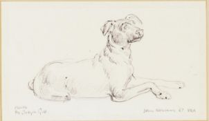 JOHN NEWBERRY (b.1934) PEN DRAWING Study of a recumbent dog after a marble sculpture by Joseph