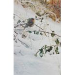 STEVEN TOWNSEND ARTIST SIGNED LIMITED EDITION COLOUR PRINT Robin in snow Numbered 392/400 16" x