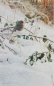 STEVEN TOWNSEND ARTIST SIGNED LIMITED EDITION COLOUR PRINT Robin in snow Numbered 392/400 16" x