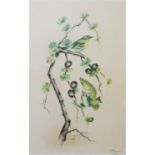 E. TOWNSEND (ROYAL WORCESTER ARTIST) SET OF NINE ARTIST SIGNED LIMITED EDITION COLOUR PRINTS OF