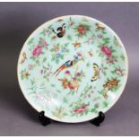 19TH CENTURY CELEDON GLAZE CANTON ENAMEL PLATE, decorated with flowers, insects and butterflies