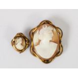 VICTORIAN CARVED OVAL SHELL CAMEO BROOCH depicting a winged angel's head, in pinchbeck frame, 2in (