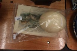 ELEVEN UNFRAMED NINETEENTH CENTURY NATURAL HISTORY BOOK ILLUSTRATIONS AND AN OSTRICH EGG (12)