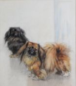 GEORGE VERNON STOKES RBA (1873-1954) WATERCOLOUR DRAWING Two Pekingese dogs Signed top right 15 ¾" x