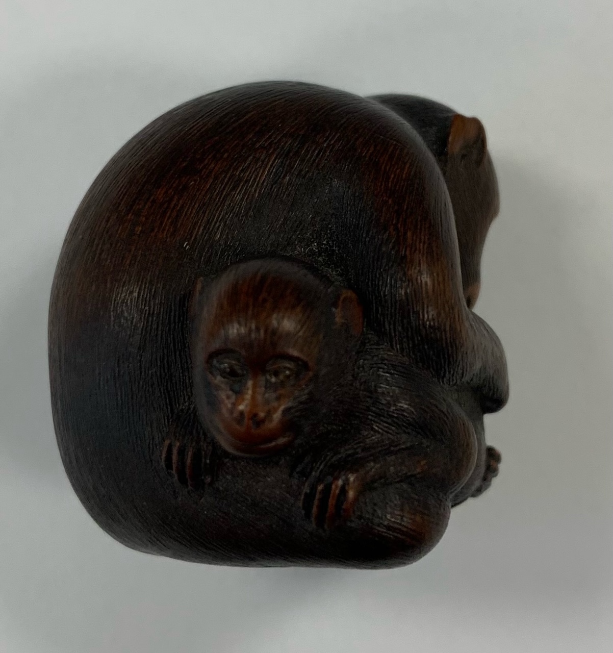 A Japanese Meiji carved wood netsuke of a monkey and young signed - Image 10 of 19