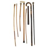 A collection of two walking sticks and others
