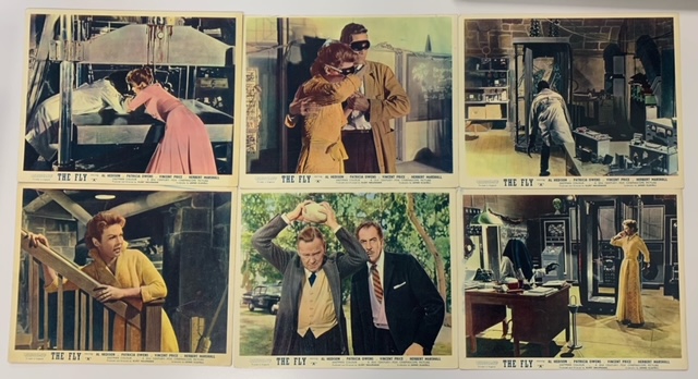 Movie Memorabilia: Front of House Stills - including Wizard of Oz - Image 7 of 8