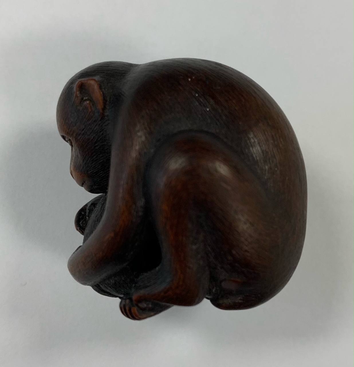 A Japanese Meiji carved wood netsuke of a monkey and young signed - Image 11 of 19
