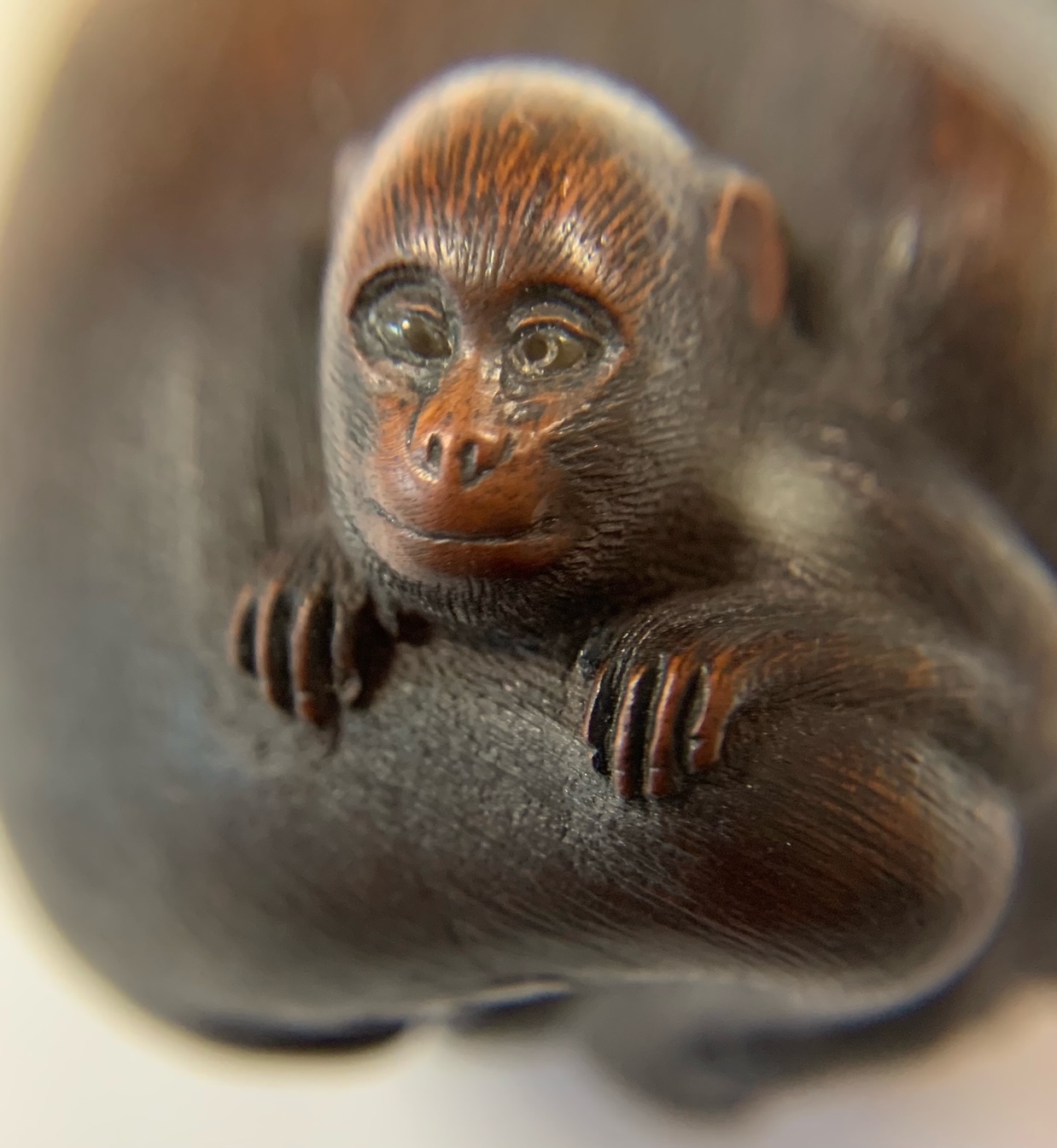 A Japanese Meiji carved wood netsuke of a monkey and young signed - Image 12 of 19