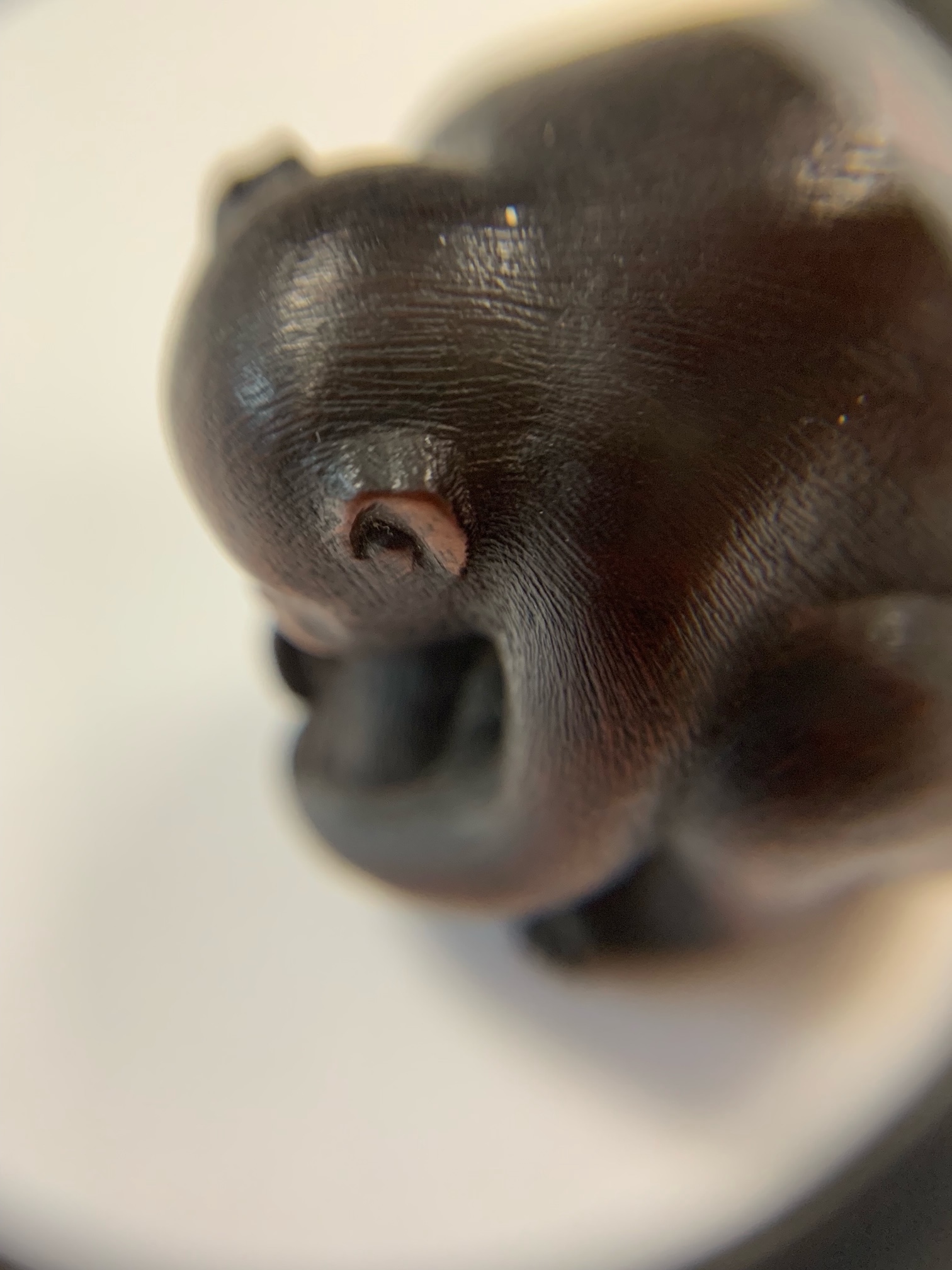 A Japanese Meiji carved wood netsuke of a monkey and young signed - Image 15 of 19