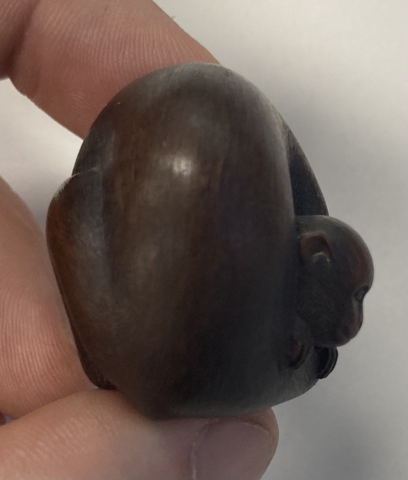 A Japanese Meiji carved wood netsuke of a monkey and young signed - Image 7 of 19