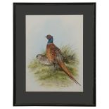 Frances Fry, 'Common pheasants' watercolour