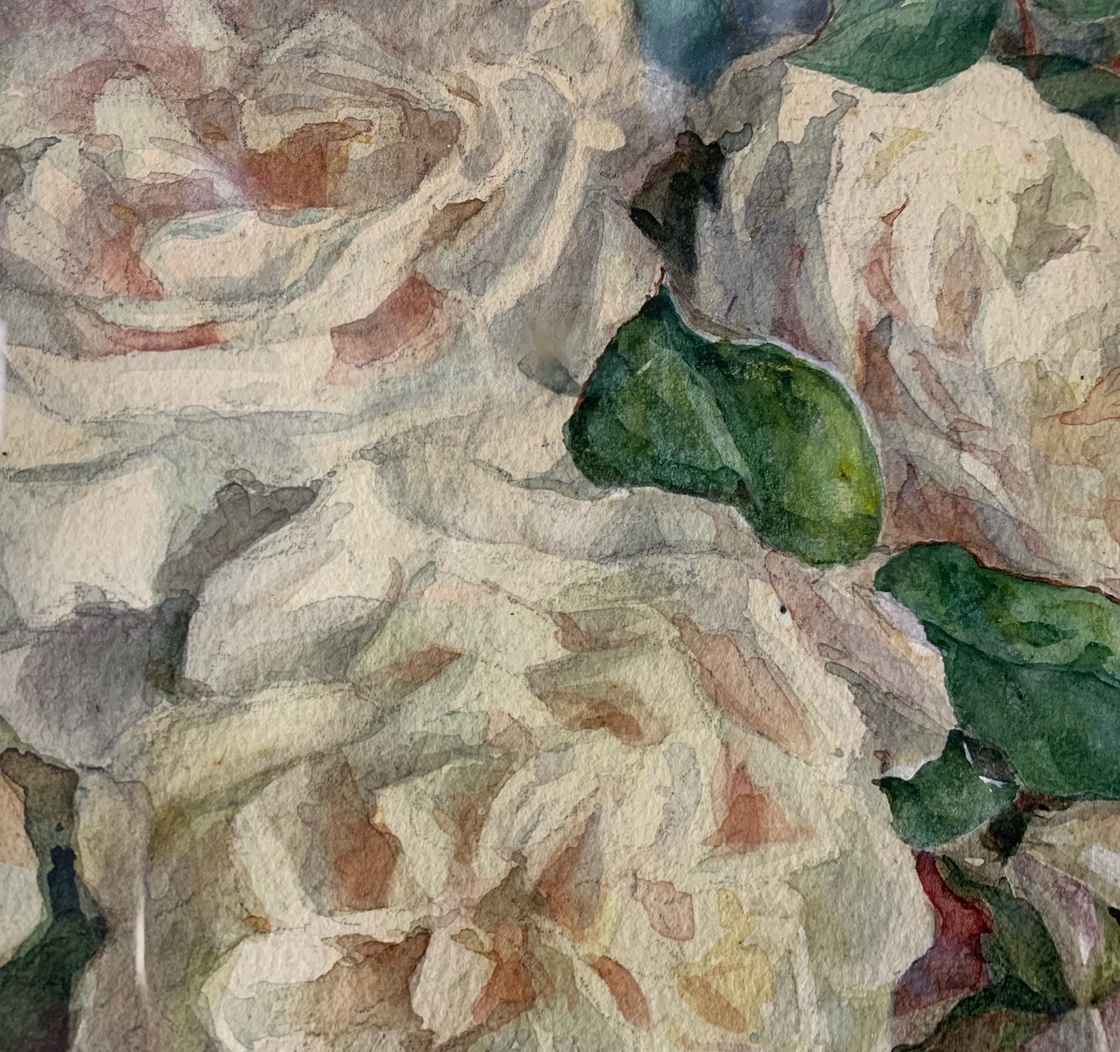 Edith Margaret Harms (British, 1868-1943) a still life of roses, watercolour - Image 6 of 11