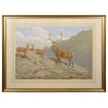 Frank Paton (British, 1855-1909) 'Study of a Red Stag and Hinds, within a Highland Landscape',