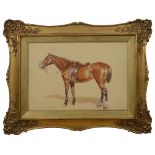 Frank Paton (British, 1855-1909) - Study of a Chestnut Horse