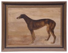 Late 19th century British School 'Study of a brindle greyhound'