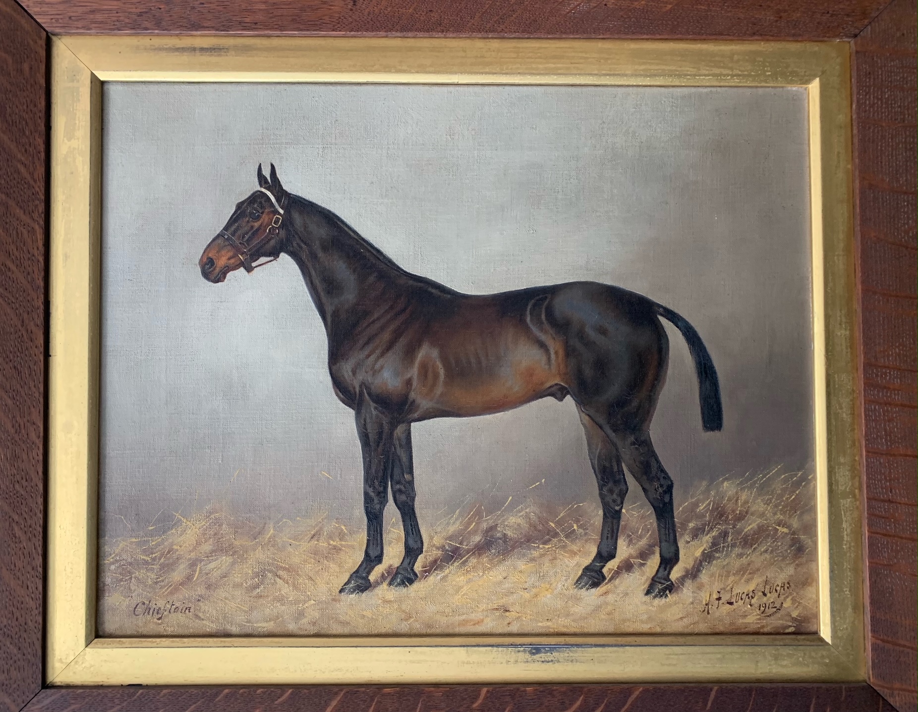 Henry Frederick Lucas-Lucas a horse portrait of a bay gelding 'Chieftain' - Image 2 of 6