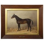 Henry Frederick Lucas-Lucas a horse portrait of a bay gelding 'Chieftain'