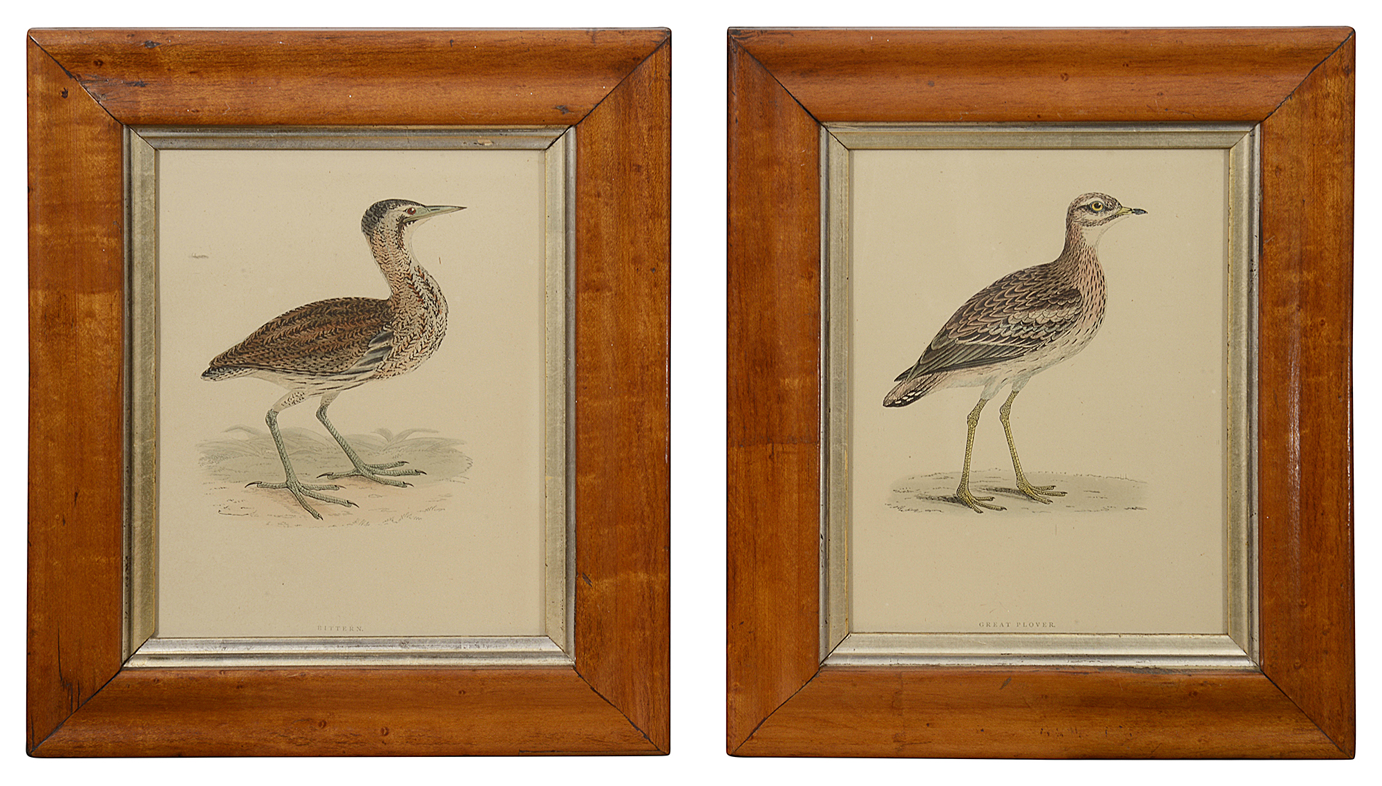 A 19th century coloured print of Belted Kingfisher and two other prints - Image 2 of 2