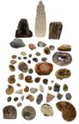 Natural History: A large collection of mineral specimens and fossil samples,