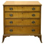 An American Federal period tiger maple chest of drawers