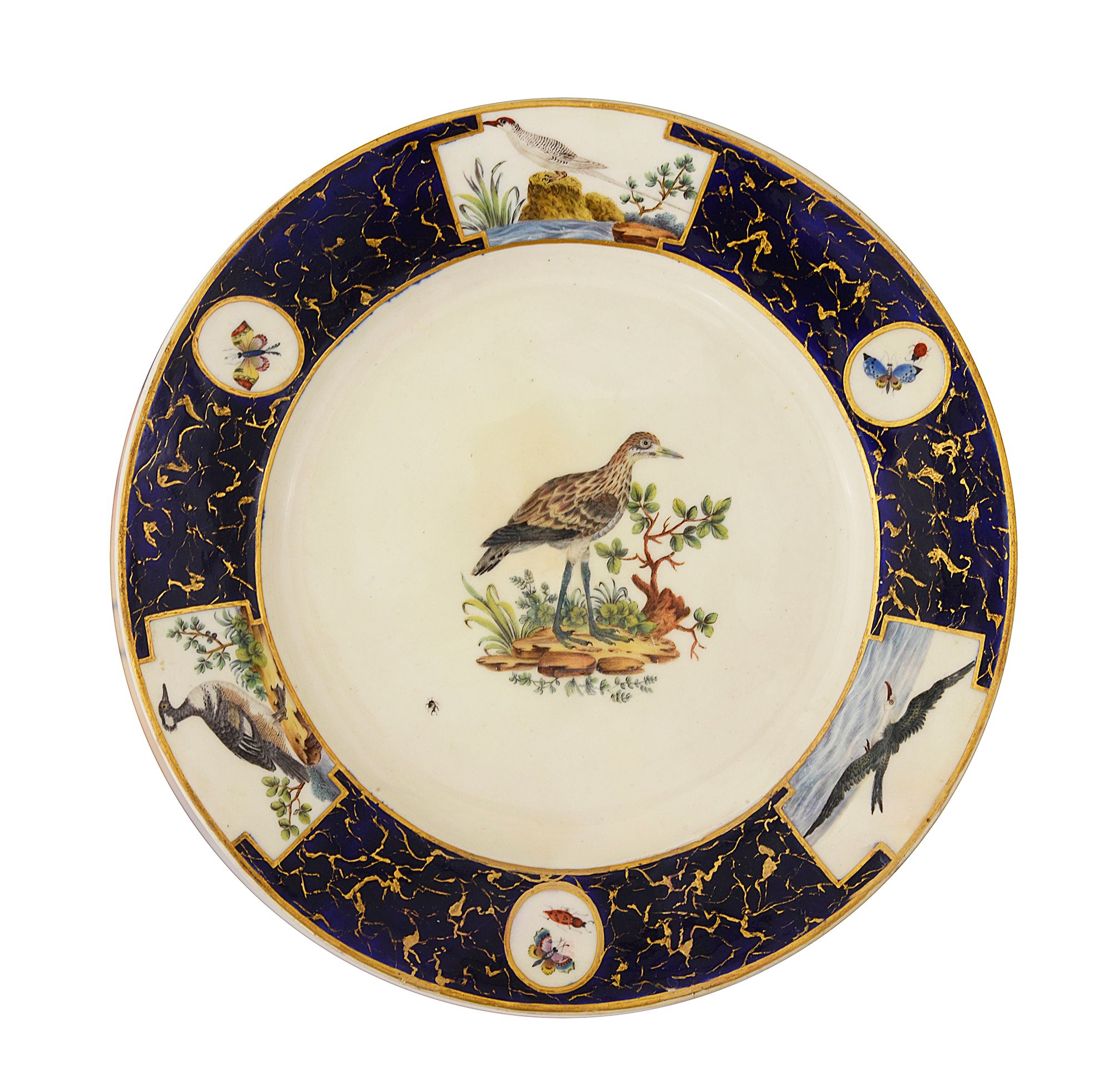 A Tournai ornithological plate, 18th century