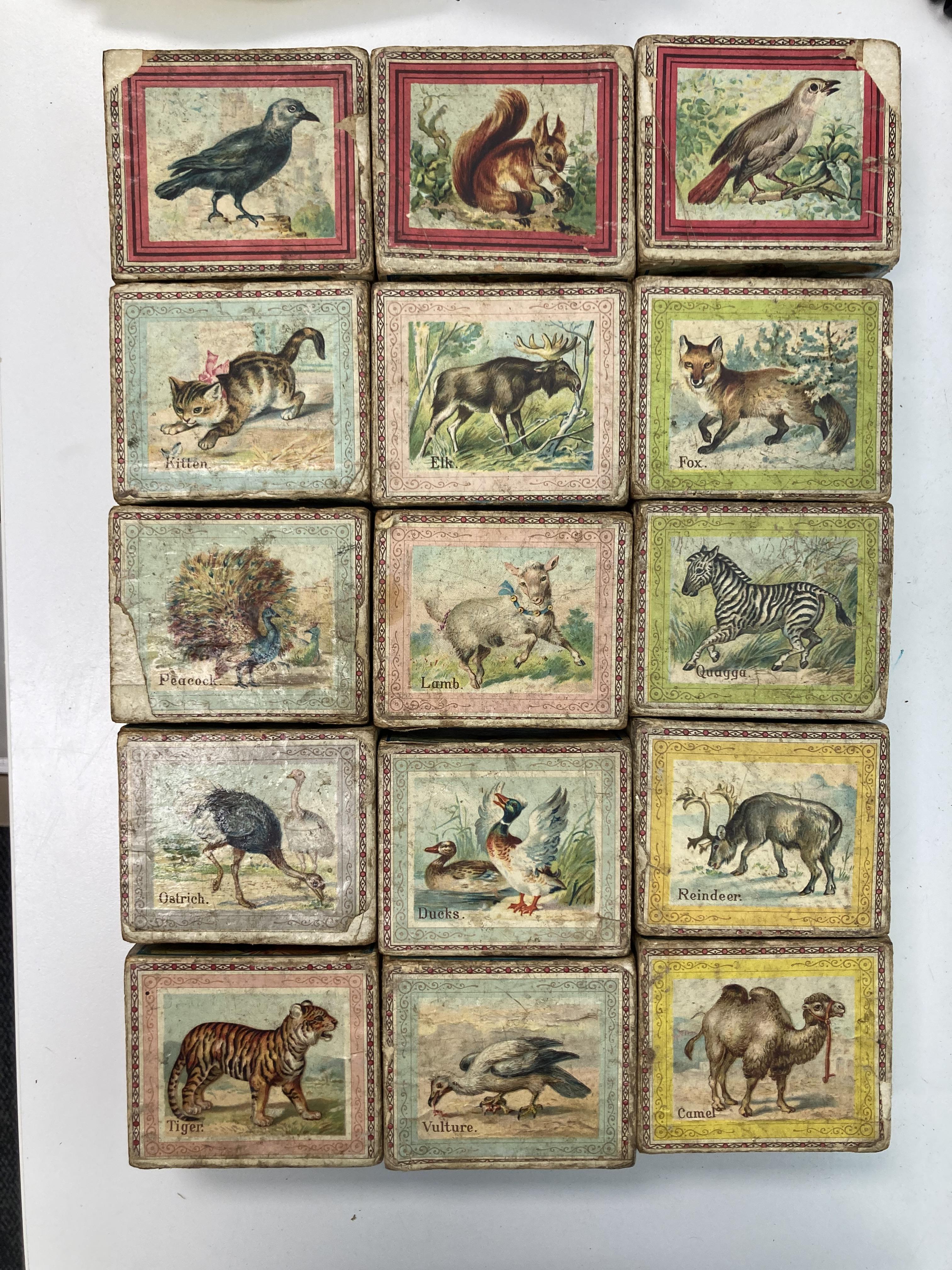Four mid 19th century dissected wooden jigsaw puzzles and a set of fifteen Victorian printed alphabe - Image 8 of 8