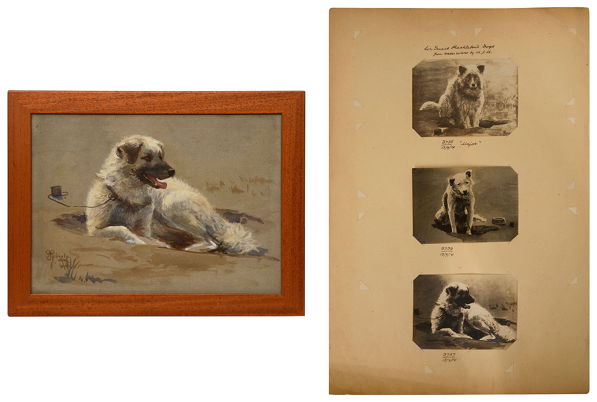 Mariquita Jenny Moberly (British, 1855-1937) 'Ernest Shackleton's dog watercolour