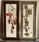 EG WATKINS, WATERCOLOURS- 'APPLES' AND 'PLUMS', EACH APPROXIMATELY 51 x 15cm