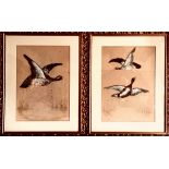 PAIR- FLYING WATERFOWL, APPLIQUE FEATHERS ON WATERCOLOUR, EACH APPROXIMATELY 40 x 28cm FADED AND