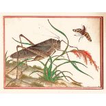 CHINESE PAINTING ON RICE PAPER DEPICTING A GRASSHOPPER AND INSECT. APPROX. 11 X 14.5CM