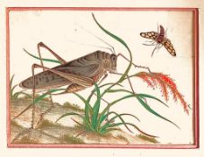 CHINESE PAINTING ON RICE PAPER DEPICTING A GRASSHOPPER AND INSECT. APPROX. 11 X 14.5CM