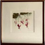 VALERIE ELLIS, LITHOGRAPH- 'FUSHIAS', 9/80, SIGNED PENCIL LOWER RIGHT, APPROXIMATELY 15 x 17cm