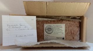 Original Cavern Club Brick complete with original box and receipt. With Cavern Walks Bag and