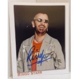 Colour photograph signed by Ringo Starr first name only